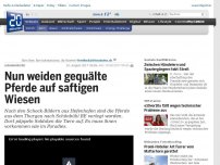 Bild zum Artikel: Schönbühl BE: Nun weiden gequälte Pferde auf saftigen Wiesen