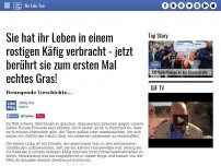 Bild zum Artikel: Sie hat ihr Leben in einem rostigen Käfig verbracht - jetzt berührt sie zum ersten Mal echtes Gras!