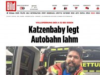 Bild zum Artikel: A 52 voll gesperrt - Katzenbaby legt Autobahn lahm