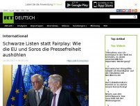 Bild zum Artikel: Schwarze Listen statt Fairplay: Wie die EU und Soros die Pressefreiheit aushöhlen