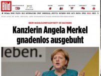 Bild zum Artikel: Beim Wahlkampfauftritt - Kanzlerin Merkel gnadenlos ausgebuht