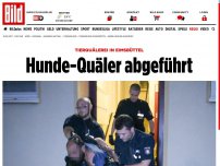 Bild zum Artikel: Eimsbüttel - Hunde-Quäler abgeführt