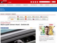 Bild zum Artikel: Amtsgericht München - Mann quält seinen Hund - Geldstrafe