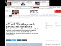 Bild zum Artikel: Spitzenkandidat Gauland fordert Schließung der Mittelmeerroute