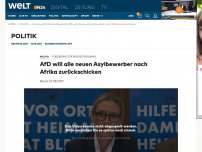 Bild zum Artikel: Forderung für Bundestagswahl: AfD will alle neuen Asylbewerber nach Afrika zurückschicken
