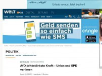 Bild zum Artikel: 'Deutschlandtrend': AfD zieht an Linke, Grüne und FDP vorbei - Union verliert