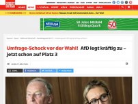 Bild zum Artikel: Umfrage-Schock vor der Wahl!: AfD legt kräftig zu – jetzt schon auf Platz 3