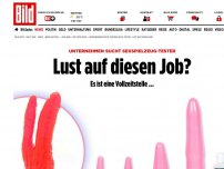 Bild zum Artikel: Sexspielzeug-Tester - Lust auf diesen Job?