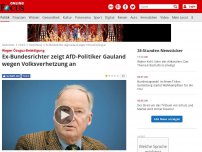 Bild zum Artikel: AfD-Mann wollte Özoguz 'entsorgen' - Ex-Bundesrichter zeigt Gauland wegen Volksverhetzung an