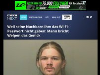 Bild zum Artikel: Weil seine Nachbarn ihm das Wi-Fi-Passwort nicht gaben: Mann bricht Welpen das Genick