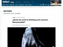 Bild zum Artikel: Vollverschleierung: 'Burka ist nicht im Einklang mit unserem Menschenbild'