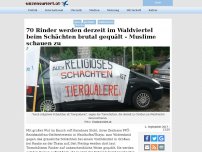 Bild zum Artikel: 70 Rinder werden derzeit im Waldviertel beim Schächten brutal gequält - Muslime schauen zu