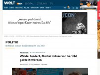 Bild zum Artikel: AfD-Spitzenkandidatin : Weidel fordert, Merkel müsse vor Gericht gestellt werden