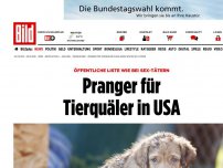 Bild zum Artikel: Liste wie bei Sex-Tätern - Pranger für Tierquäler in USA