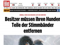 Bild zum Artikel: Gebell nervt Nachbarn - Hunden werden Teile der Stimmbänder entfernt