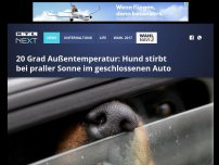 Bild zum Artikel: 20 Grad Außentemperatur: Hund stirbt bei praller Sonne im geschlossenen Auto