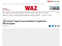 Bild zum Artikel: Satire: „Die Partei“ kapert und verändert 31 geheime AfD-Gruppen