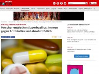 Bild zum Artikel: Kreuzung zweier Bakterienarten - Forscher entdecken Superbazillus: Immun gegen Antibiotika und absolut tödlich