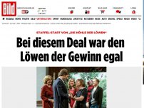 Bild zum Artikel: „Die Höhle der Löwen“ - Bei diesem Deal war den Löwen der Gewinn egal