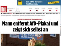 Bild zum Artikel: „Provokation abgestellt“ - Mann entfernt AfD-Plakat und zeigt sich selbst an