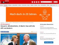 Bild zum Artikel: AfD-Wahlprogramm - Steuern, Mindestlohn, D-Mark: Das will die AfD verändern