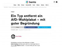 Bild zum Artikel: Ein Typ entfernt ein AfD-Wahlplakat – mit guter Begründung