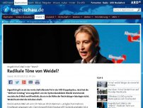 Bild zum Artikel: Angebliche E-Mail in der 'Wams': Radikale Töne von Weidel?