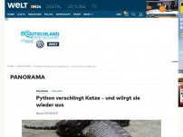 Bild zum Artikel: Thailand: Python verschlingt Katze - und würgt sie wieder aus