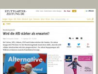 Bild zum Artikel: Bundestagswahl: Wird die AfD stärker als erwartet?