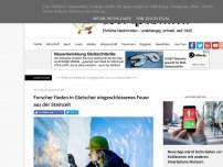 Bild zum Artikel: Forscher finden in Gletscher eingeschlossenes Feuer aus der Steinzeit