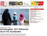 Bild zum Artikel: Kindergeld: 257 Millionen  für Ausländer