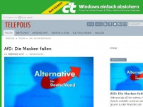 Bild zum Artikel: AfD: Die Masken fallen