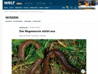 Bild zum Artikel: Bedrohte Arten: Der Regenwurm stirbt aus