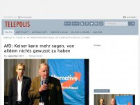 Bild zum Artikel: AfD: Keiner kann mehr sagen, von alldem nichts gewusst zu haben