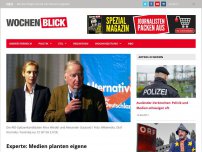 Bild zum Artikel: Experte: Medien planten eigene „Schmutzkampagne“ gegen AfD