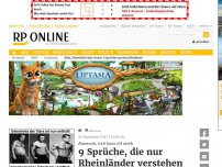 Bild zum Artikel: Annemie, isch kann nit mieh - 10 Sprüche, die nur Rheinländer verstehen