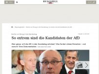Bild zum Artikel: So extrem sind die Kandidaten der AfD