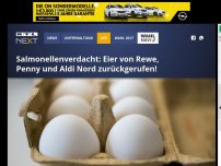 Bild zum Artikel: Salmonellenverdacht: Eier bei Rewe, Penny und Aldi Nord zurückgerufen!