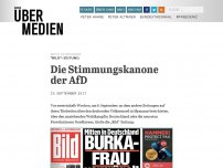 Bild zum Artikel: Die Stimmungskanone der AfD