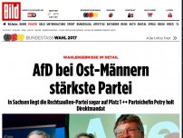 Bild zum Artikel: Wahlergebnisse im Detail - AfD bei Ost-Männern stärkste Partei