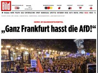 Bild zum Artikel: Demo im Bahnhofsviertel - „Ganz Frankfurt hasst die AfD!“