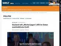 Bild zum Artikel: AfD-Wahlerfolg: Gauland will 'Merkel jagen', Petry zitiert Gandhi