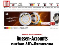 Bild zum Artikel: Während Deutschland wählt - Russen-Accounts pushen AfD-Kampagne