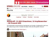 Bild zum Artikel: Sachsen: Wilsdruff: 13.900 Einwohner, 10 Asylbewerber - 36 Prozent AfD