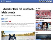 Bild zum Artikel: Todkranker Hund hat wundervolle letzte Monate