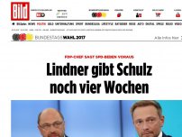 Bild zum Artikel: Attacke auf SPD-Chef - Lindner gibt Schulz noch vier Wochen