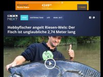 Bild zum Artikel: Hobbyfischer angelt Riesen-Wels: Der Fisch ist unglaubliche 2,74 Meter lang