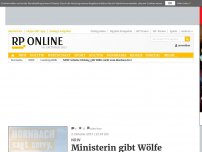 Bild zum Artikel: NRW - Ministerin gibt Wölfe nicht zum Abschuss frei