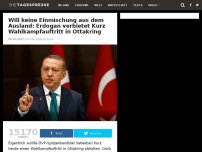 Bild zum Artikel: Will keine Einmischung aus dem Ausland: Erdogan verbietet Kurz Wahlkampfauftritt in Ottakring