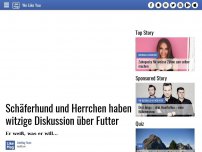 Bild zum Artikel: Schäferhund und Herrchen haben witzige Diskussion über Futter